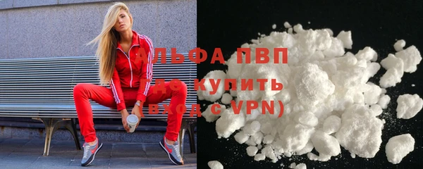 apvp Алзамай