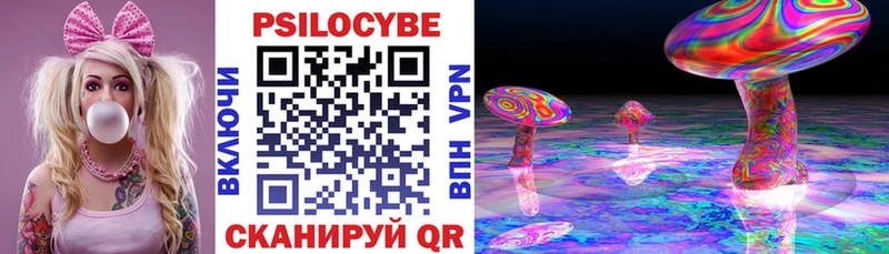 Псилоцибиновые грибы Psilocybine cubensis Арск